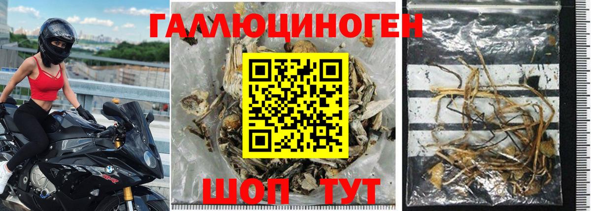 Великий Устюг  Псилоцибиновые грибы GOLDEN TEACHER  Вход с VPN 